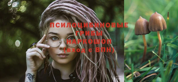 спиды Хадыженск