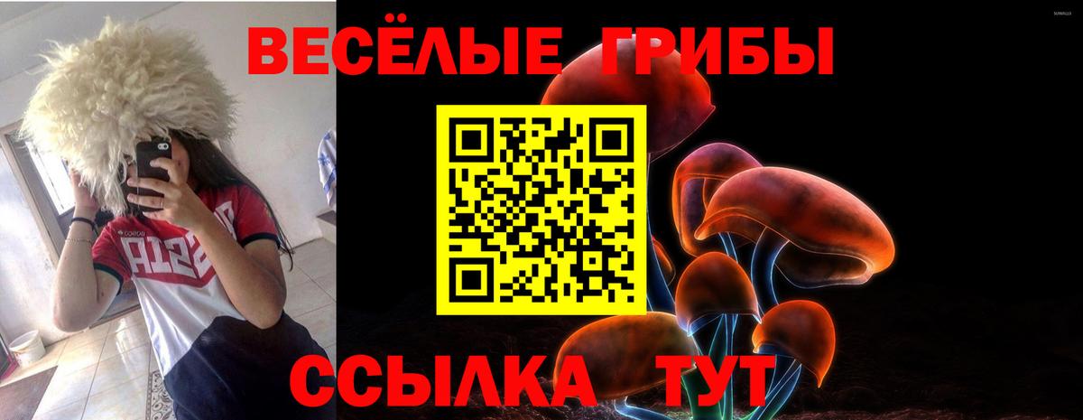 Галлюциногенные грибы мухоморы Калининград