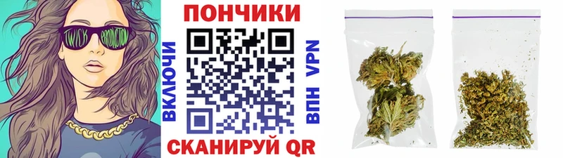 Бошки марихуана OG Kush как найти закладки Калининград